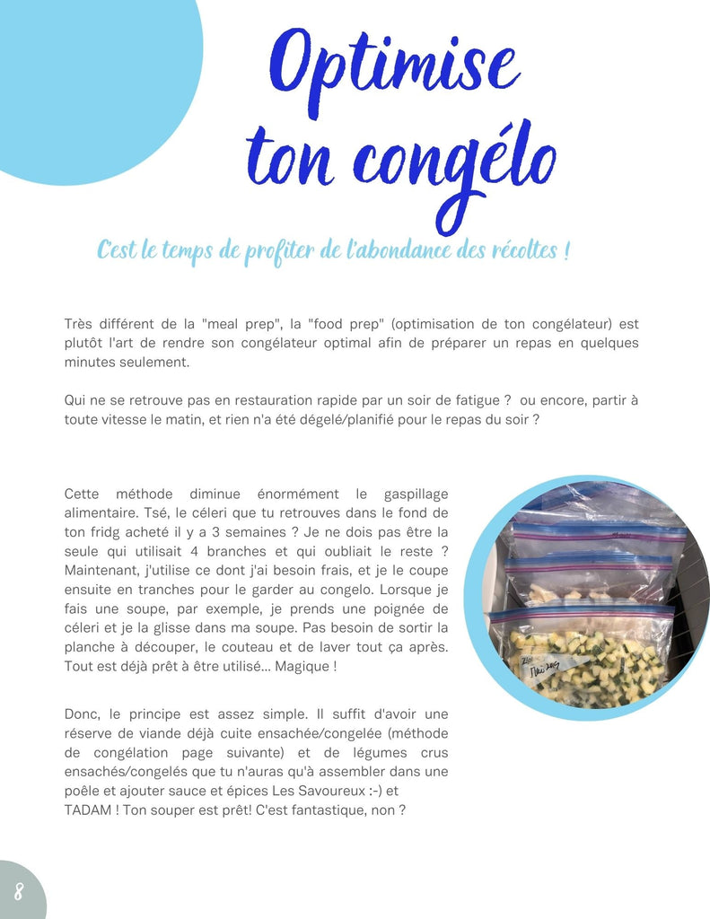Le SAVOUREUX ebook (livre électronique téléchargeable) - Recettes et guide pratique pour optimiser ton congélateur - Les Savoureux