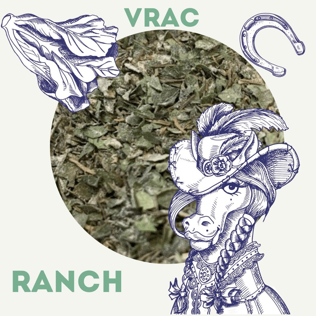 VRAC - Assaisonnement Ranch 125g - Épices biologiques - Les Savoureux